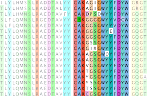Alignment of a convergence antibody group from 3 subjects, CDRH3 show in highlight.
